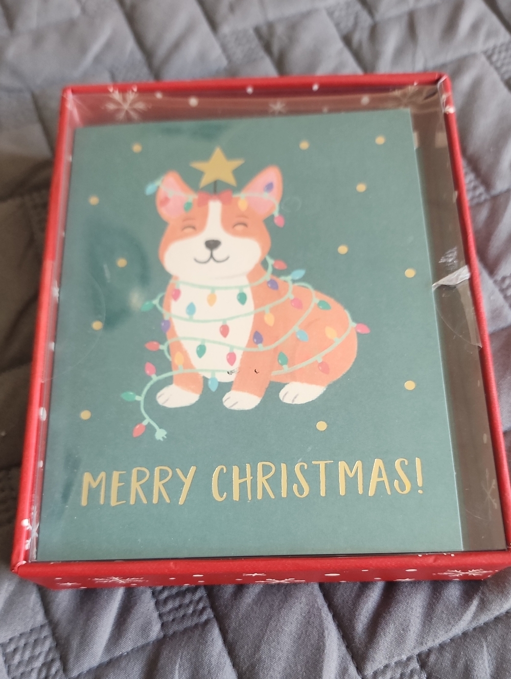 Festive Corgi Christmas Cards - 16 Cards and Envelopes